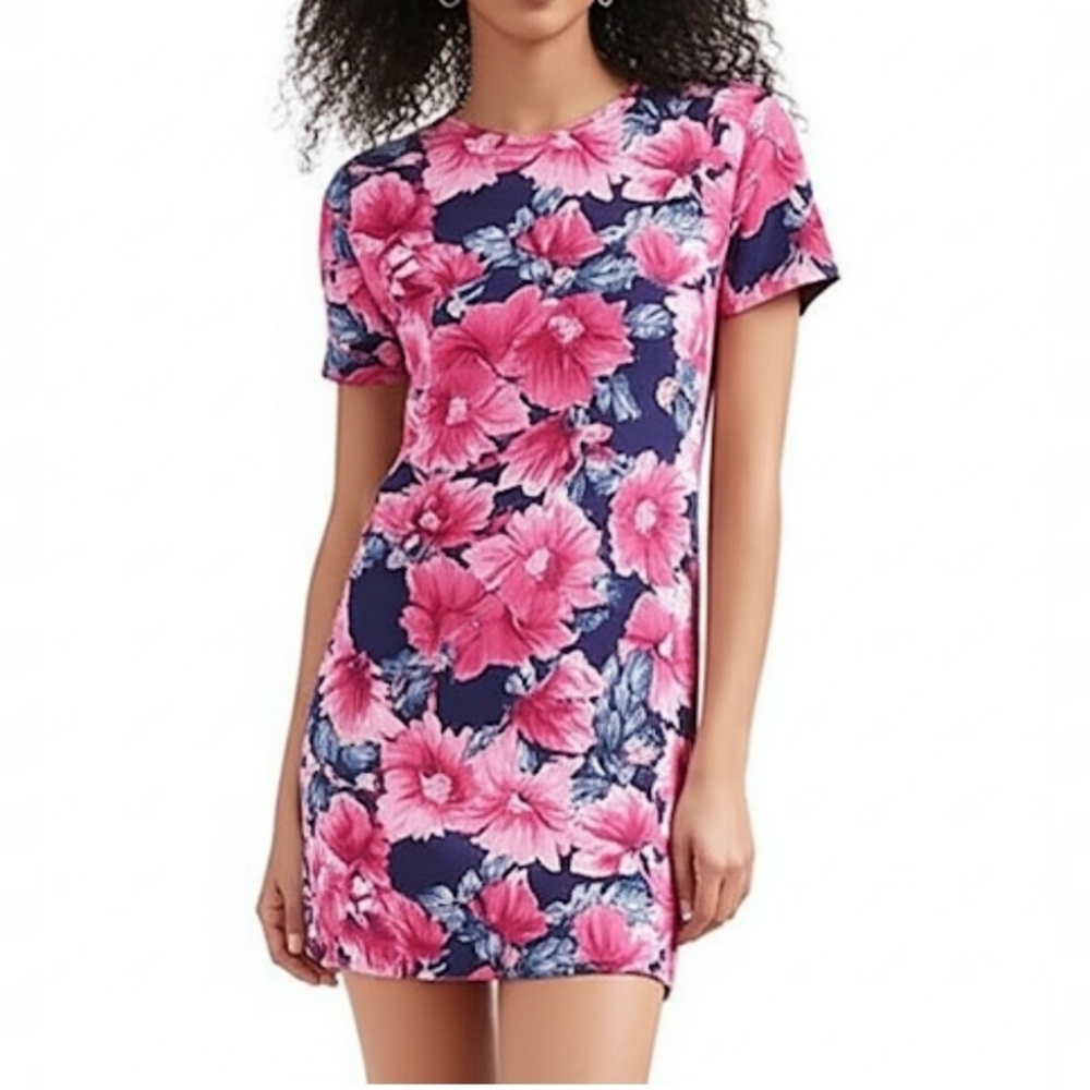 Aritzia BABATON Patricio Floral Shift Dress